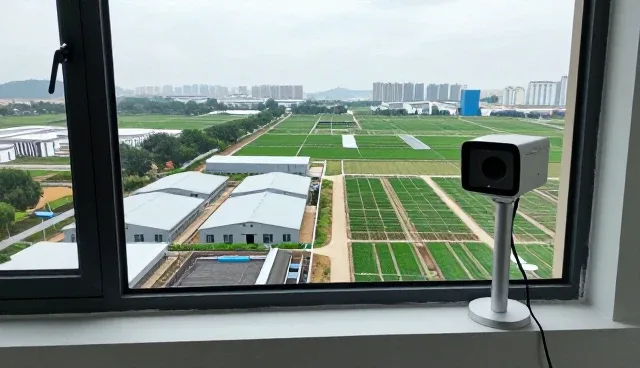 技术成果转化中的维护策略与适用条件分析